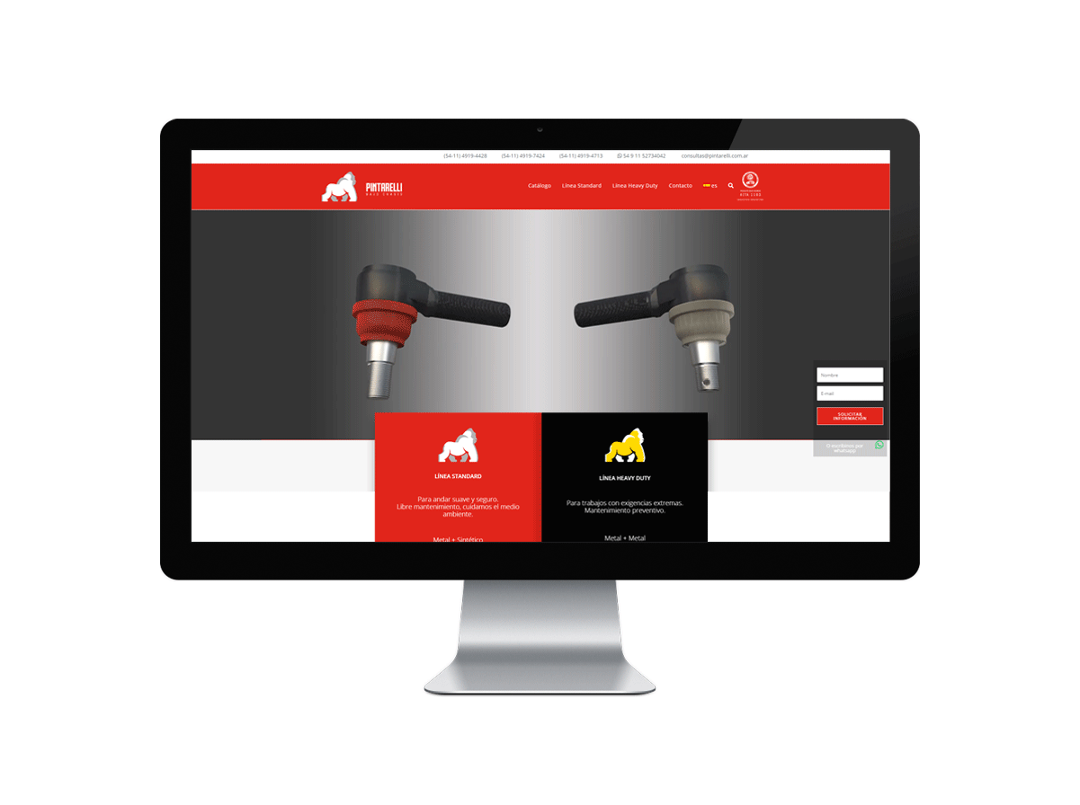 PINTARELLI - Bajo Chasis